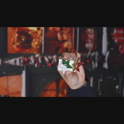 Guiding Star Hair Clip